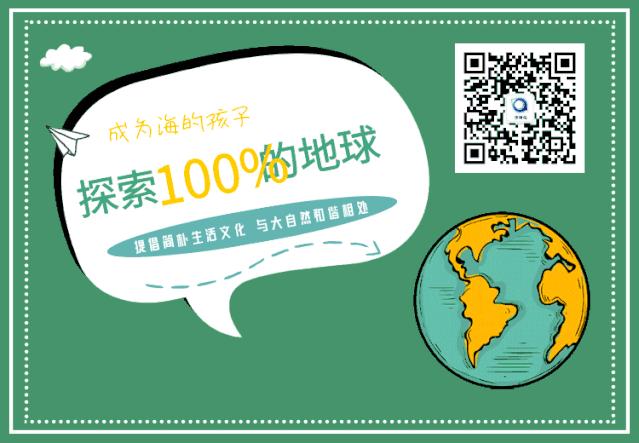 全球top是什么意思啊,全球top的作品