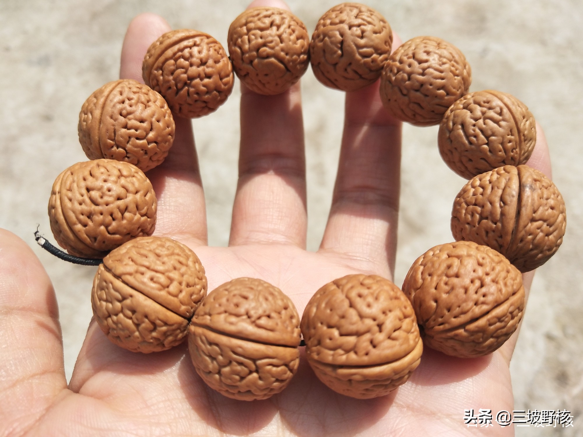 蚂蚁纹西瓜纹火焰纹,桃核蚂蚁纹和荔枝纹的区别