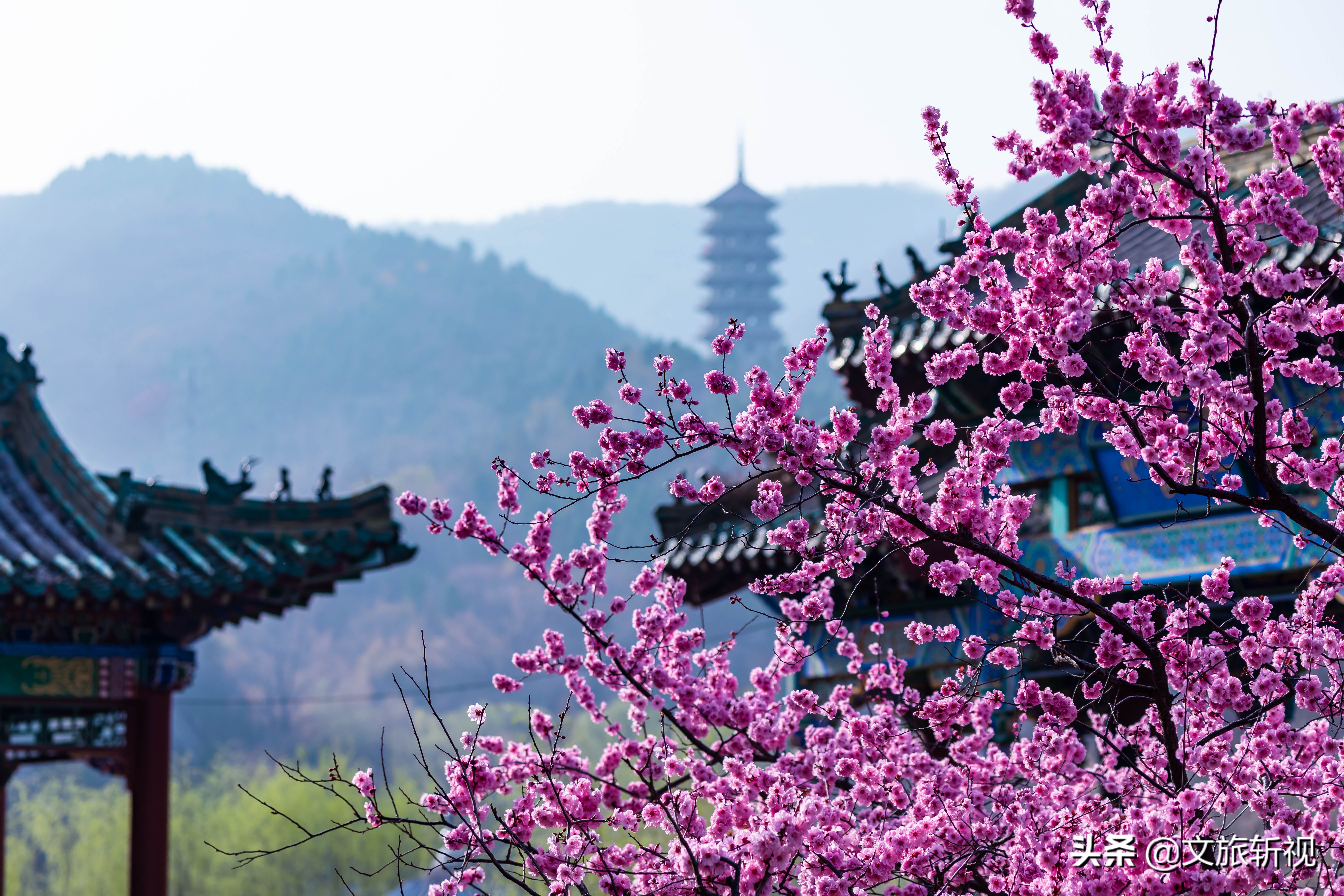 济南周末南部山区,南部山区是济南人的后花园