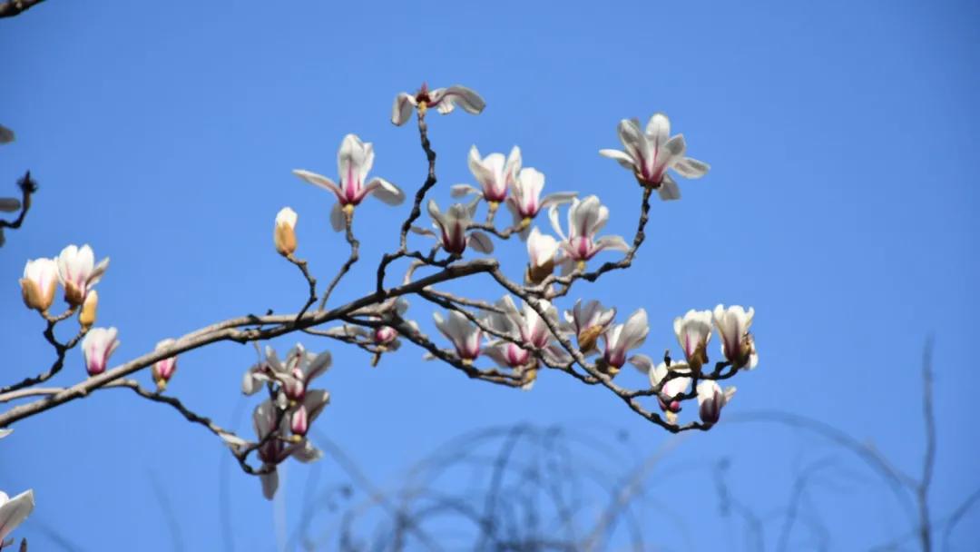 瞧!这花花世界谁不爱