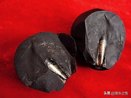 史前文明真实存在的铁证有哪些,科学家列出多个证据直指史前文明