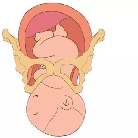 为什么产道那么小能生孩子,产道那么小婴儿怎么产下来