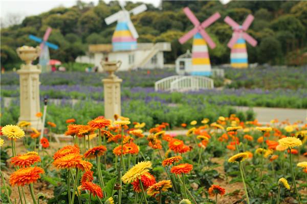 东莞现在旅游去哪里是最佳的选择,去东莞免费旅游攻略一日游