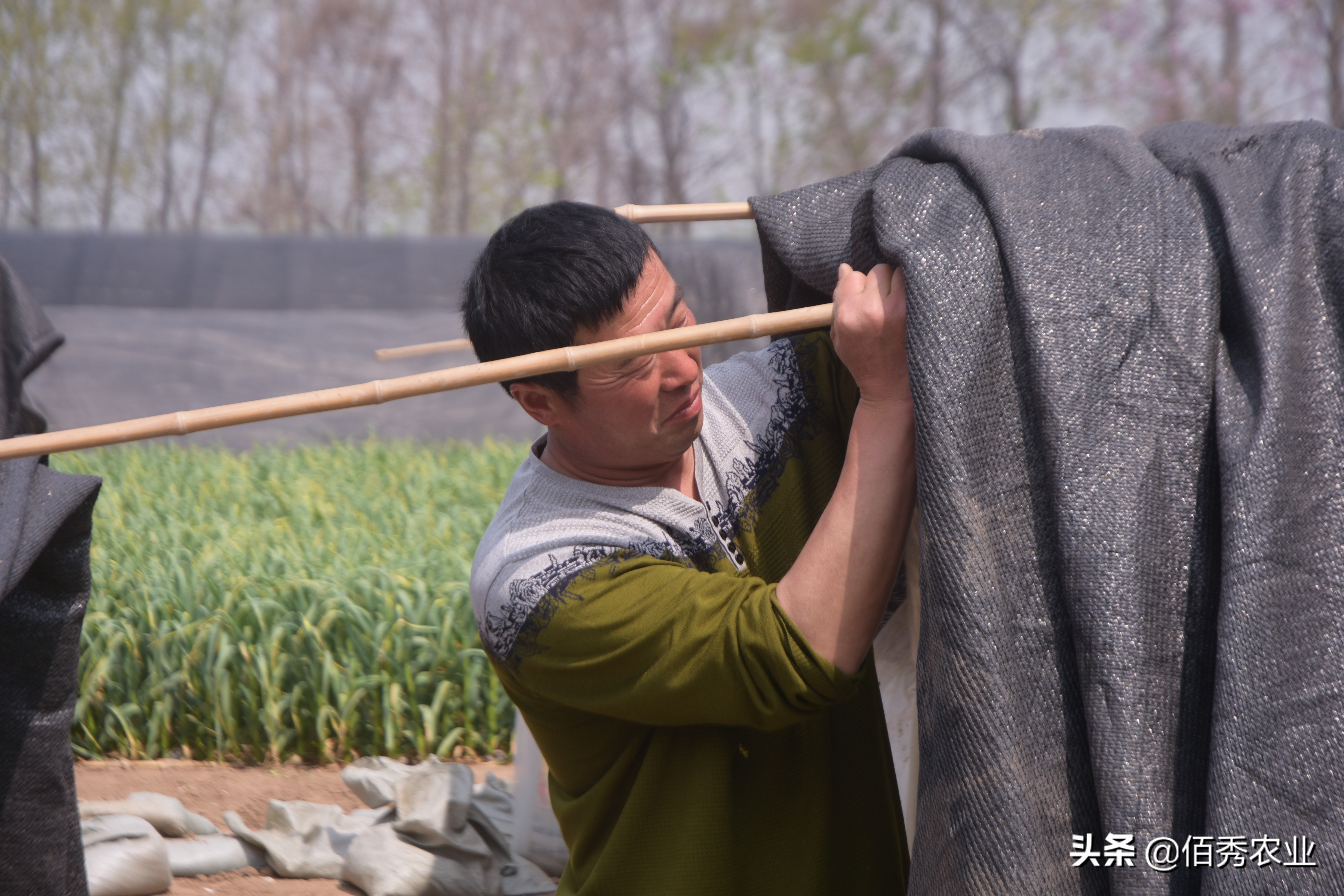 有没有大型养殖公司找农户合作的,有正规的合作养鸡包回收的公司吗