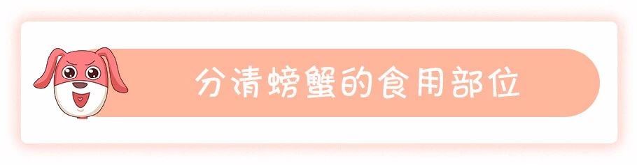 蟹黄蟹膏是什么蟹,河蟹蟹黄蟹膏是什么样的