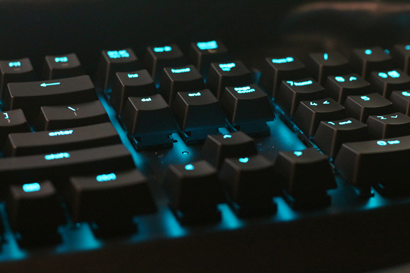 黑寡妇蜘蛛幻彩版和标准版,黑寡妇蜘蛛幻彩版灯光