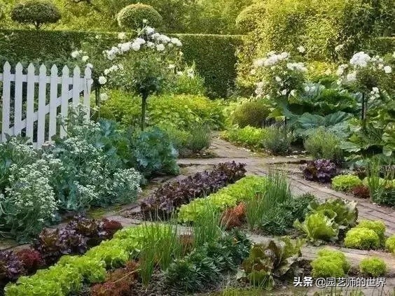 城市蔬菜园景观设计,蔬菜花园造型