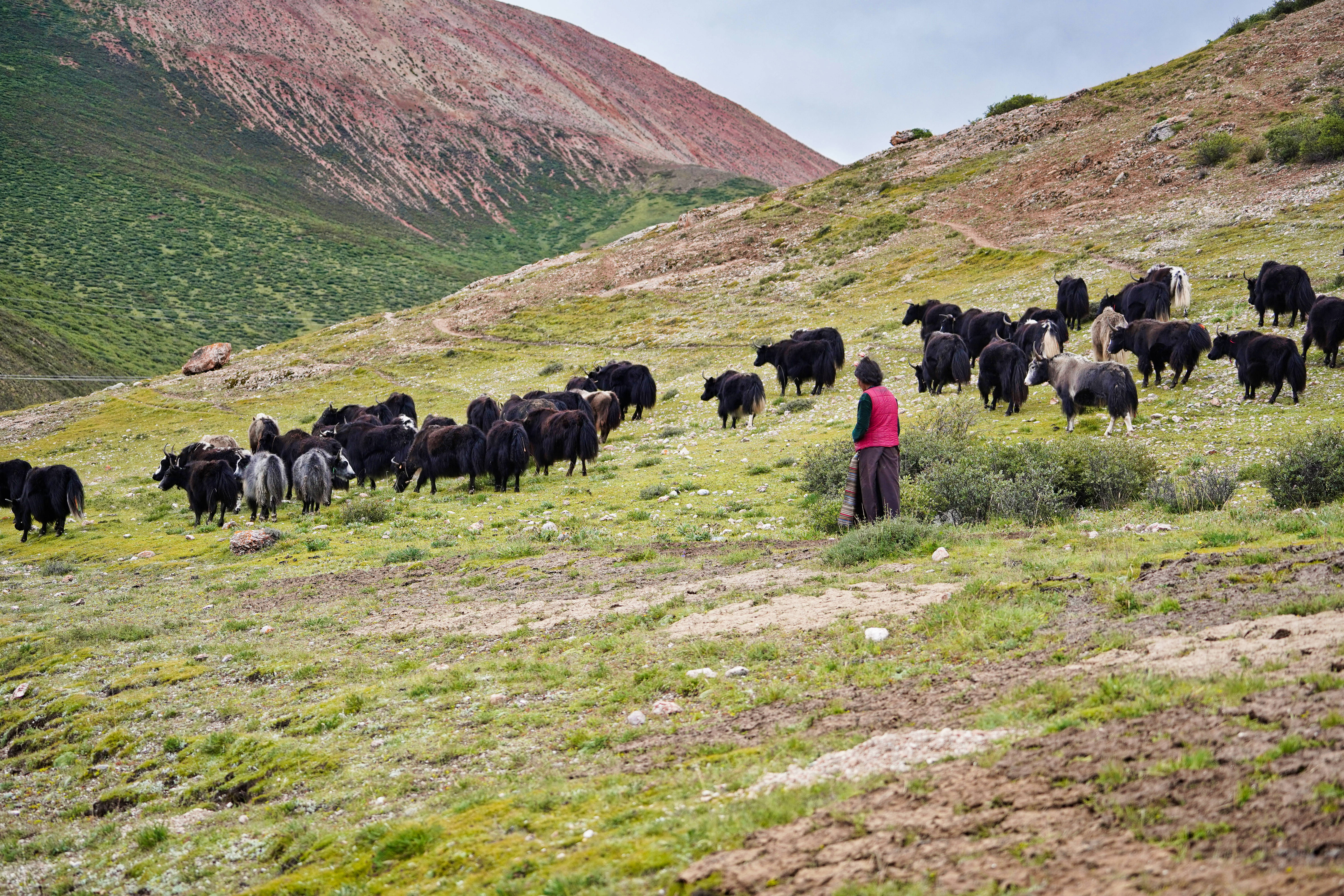 西藏昌都然乌湖美景如画,西藏昌都然乌湖景区美景