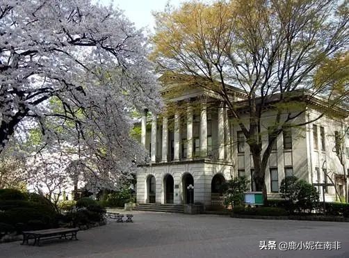 林有有被怼完整视频,林有有被怼