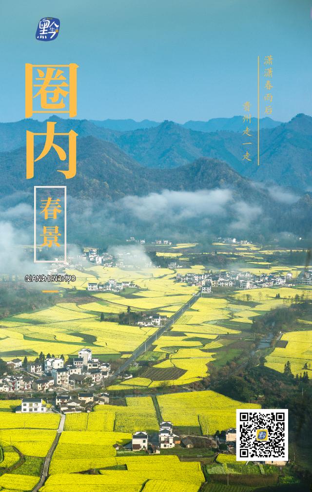 春林花多媚视频讲解,春林花多媚图片