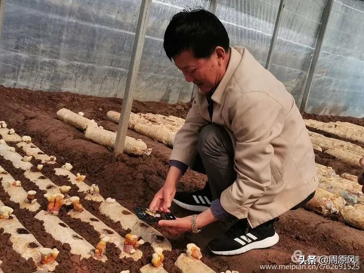 赴一场春日的邀约,五月赴一场与槐花的约会