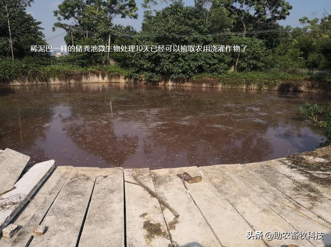 去除污水池臭气的方法,去除污水异味最有效方法