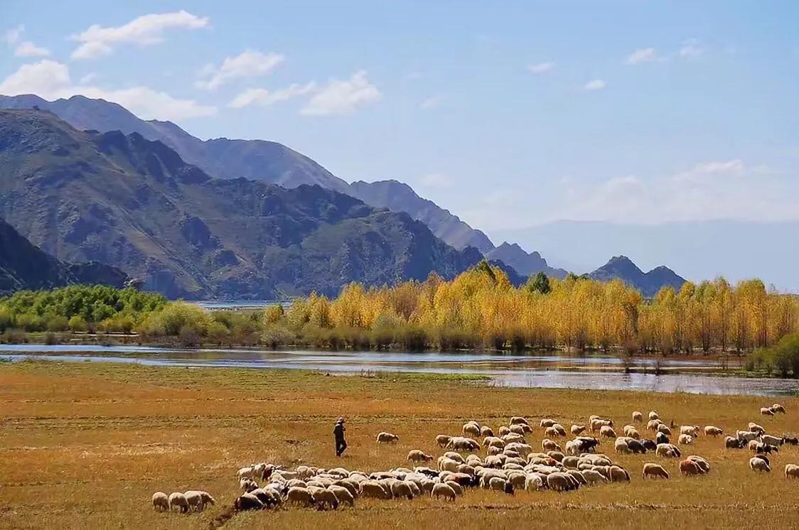 永远的西藏歌曲,冬日的拉萨河