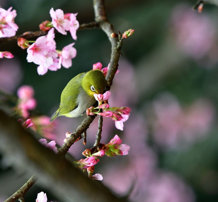 怎么减少创伤性关节炎的发生,怎么避免创伤后应激障碍