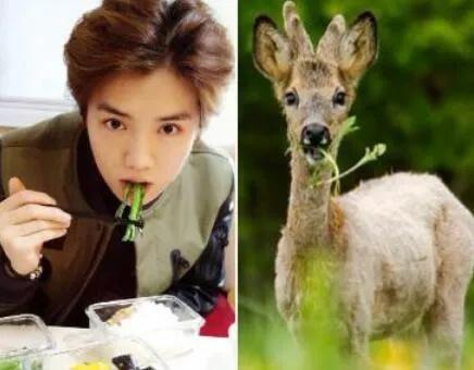 杨天真分析旗下艺人的着装视频,杨天真经纪人穿着