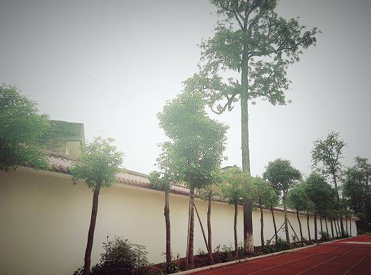 遇见│五华水寨中学,琴江河畔,炽热的青春遇见最好的我们