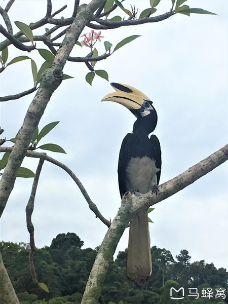 绿中海娱乐会所,绿中海旅游