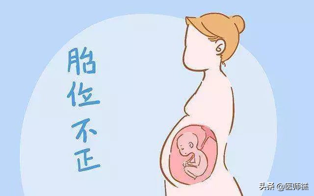 福祸相依荣辱与共共享喜怒哀乐,福祸相依双胞胎后续