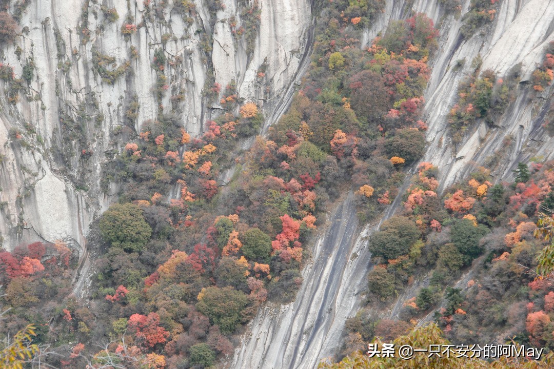 为什么爬华山都是夜爬,华山自古一条道很有必要爬吗