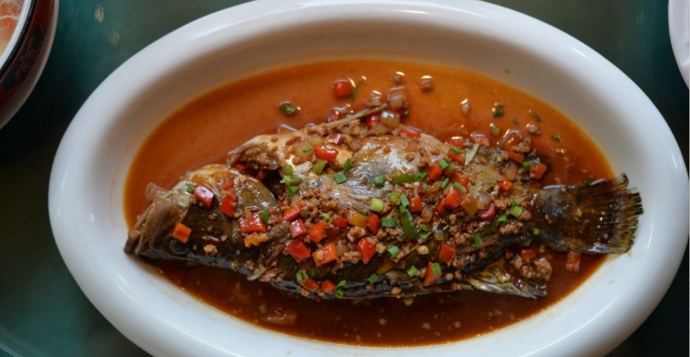 鱼儿食欲怎么样,鱼儿是怎么吃东西