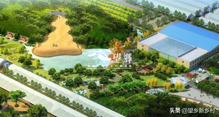 生态农业的产业特征,生态农业的前景怎么样