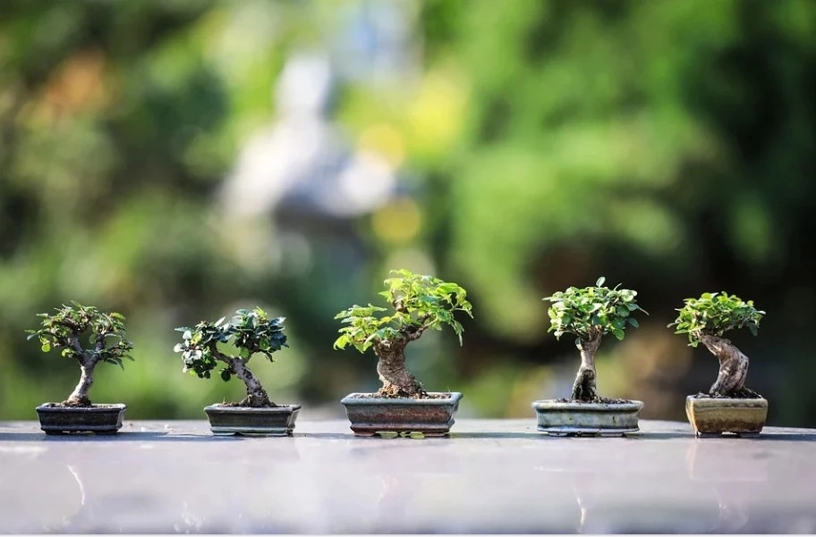 教师节家长跟老师咋沟通,教师节怎么和家长互动