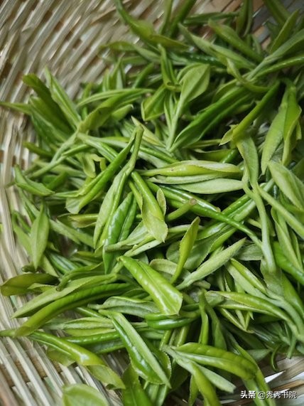 秀秀书院黄帝内经读书会,秀秀书院道德经读书视频