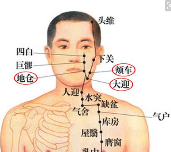 史上最全的人体穴位与功效图谱,74个常用穴位