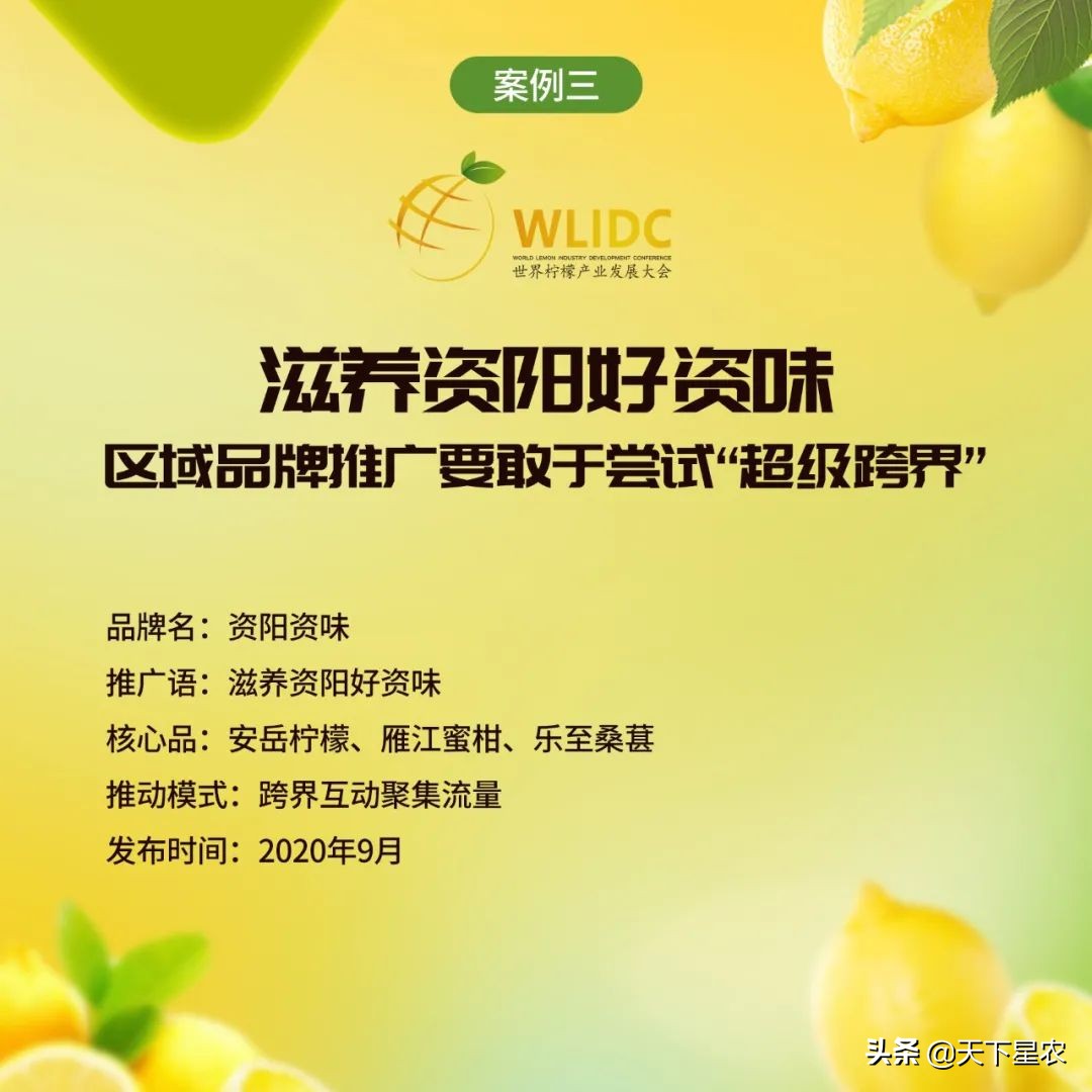 天下星农：如何让一个区域公用品牌市场化？（下篇）