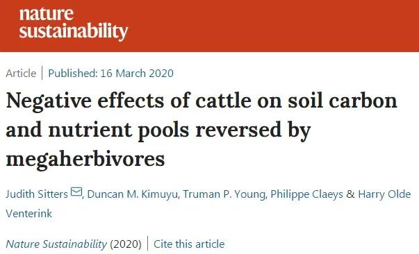 非洲草原真是用大粪“浇”出来的