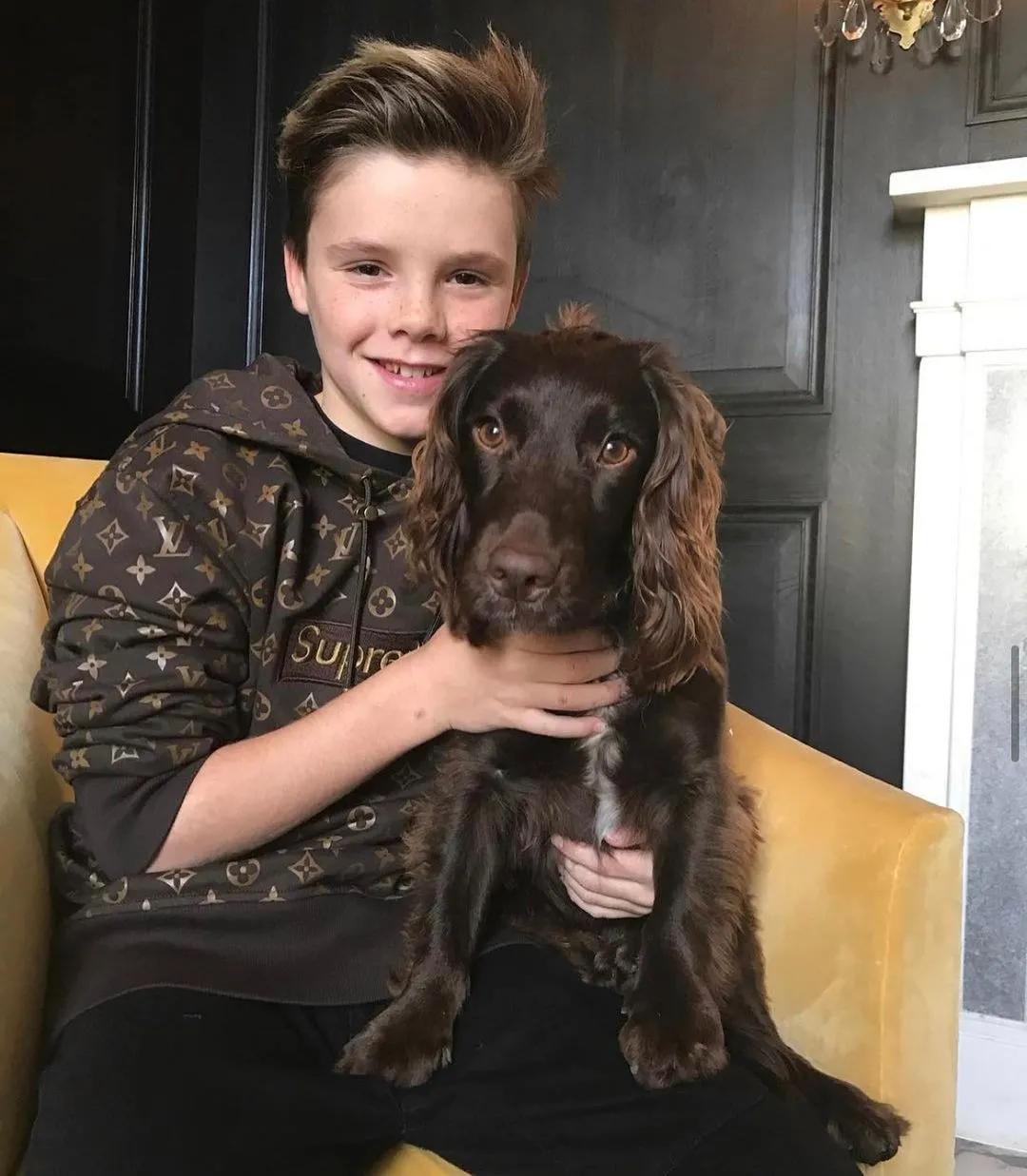 贝克汉姆儿子卖原味儿SupremexLV联名卫衣