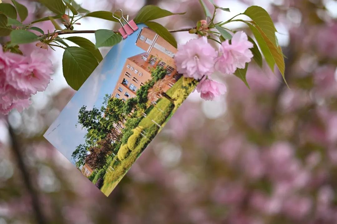 这等世外仙境竟然在西南交通大学希望学院?