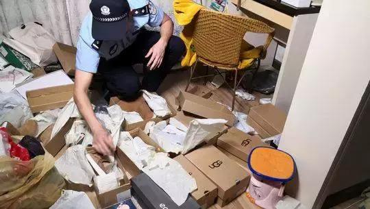 净网2019网文,净网2020能抓到诈骗犯吗