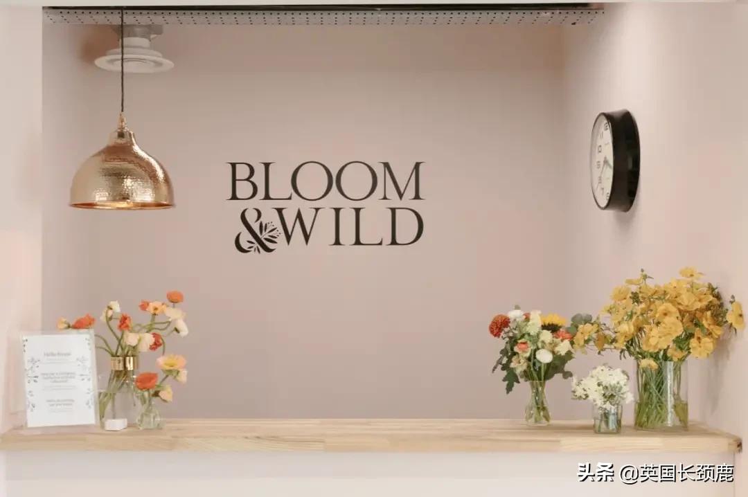 情人节来了怎么少的了fafa？英国鲜花速递服务大盘点：浪漫满分