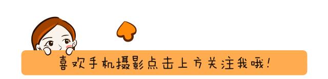 高性价比入门级单反推荐,高性价比入门级单反相机