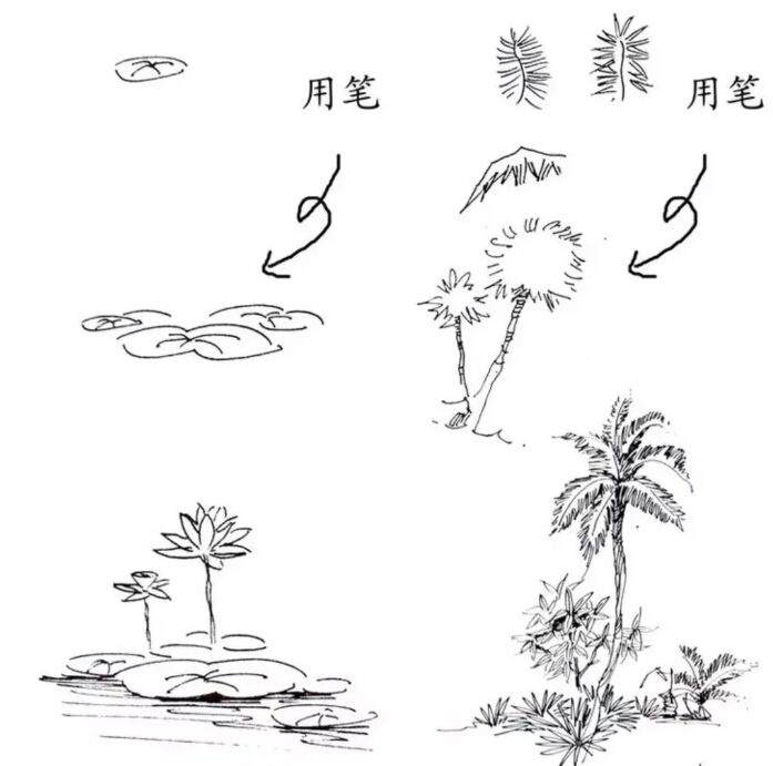 入门风景速写1000例临摹图,风景速写教你超简单的树木画法