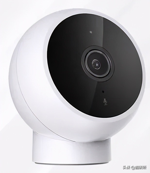 猫咪夏季好物推荐平价,猫咪防抓好物推荐