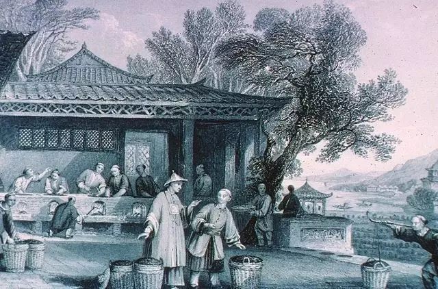 一点都不恐怖的「恐怖茶」,会是下一个十年的网红饮品吗?