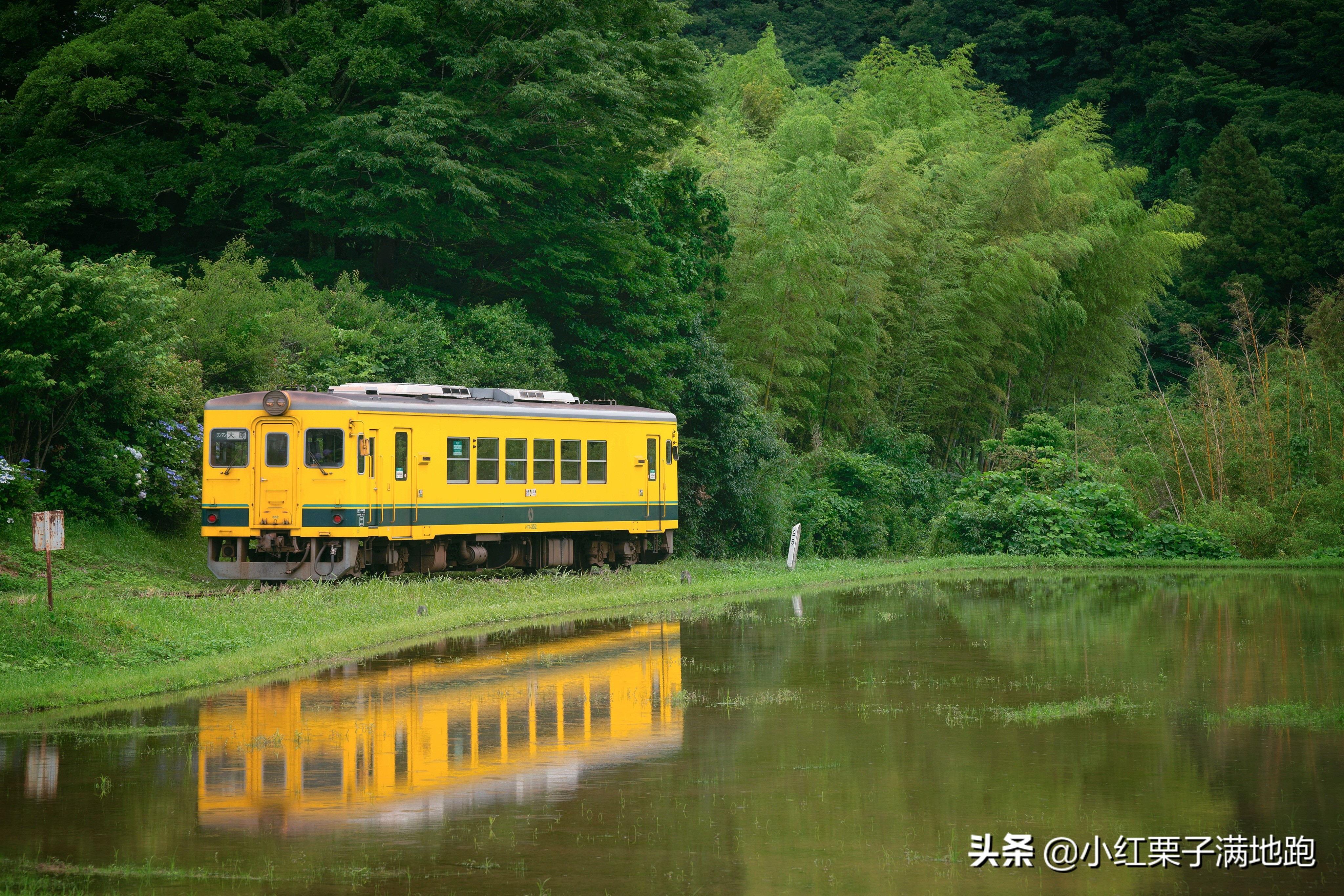 千叶县紫阳花开，如何一边体验火车之旅一边拍摄铁道风景？