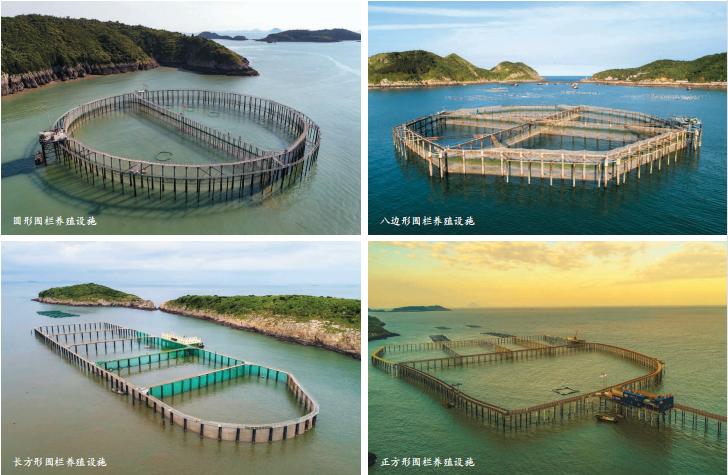 80年代大黄鱼收购价,50斤以上野生大黄鱼大概值多少钱