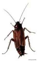 我是如何培养孩子阅读的,我是怎样培养孩子阅读的