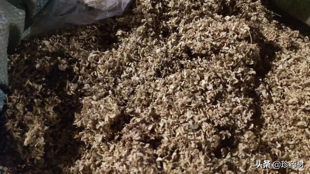 中药材市场快讯：鸡冠花、郁金、生地黄、八角茴香、荆芥穗等