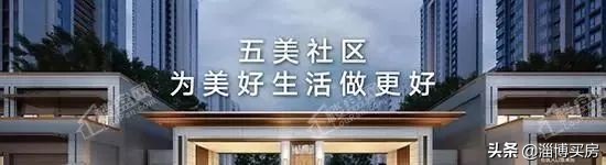 淄博张店区中小学划片,2022张店中小学划片查询