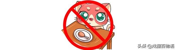 猫咪屁屁老是有稀便便是怎么回事,如何从猫咪便便判断是否生病