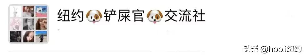 纽约最全群信息总揽｜指南在手，世界我有