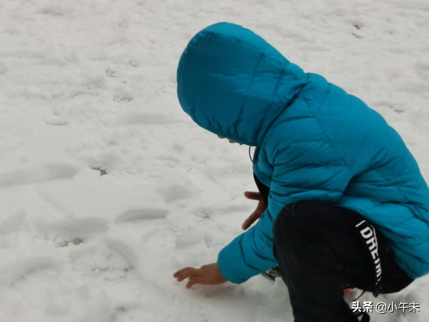 回家乡真实事件,近期内蒙地区的家庭惨案