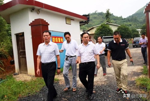 农村最好赚钱的5个项目,农村做哪些项目最赚钱