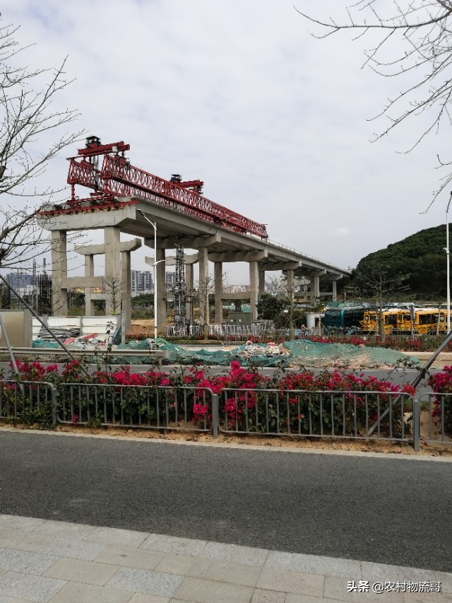 春节过后，带你看不一样的深圳玉塘