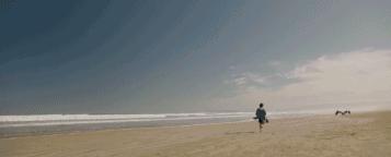 拯救不开心之类电影推荐,十部让人内心平静的电影