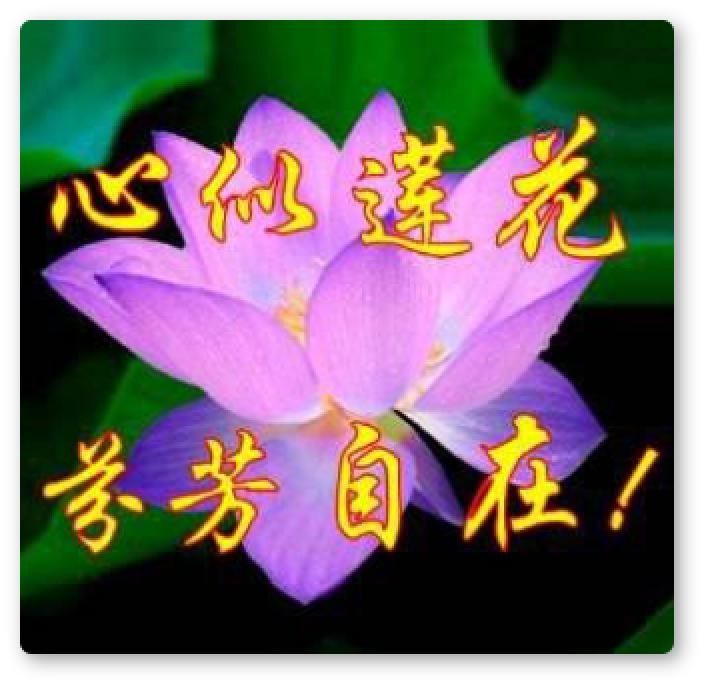 聊天表情包怎么管理,聊天冷场表情包